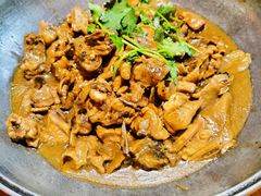 野生牛肝菌焖草鸡-园林美食城·本土农家菜(杨和镇店)