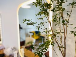 -净漪造型 PURE RIPPLE