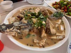 -煲来饱去冷水鱼