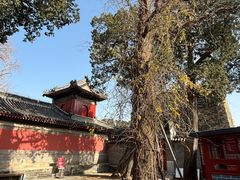 -承恩寺
