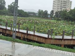 -大屏嶂森林公园