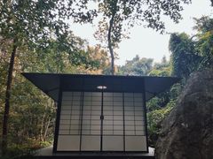 -中国茶叶博物馆(双峰馆区)
