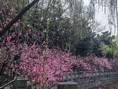 -横店影视城梦幻谷园区