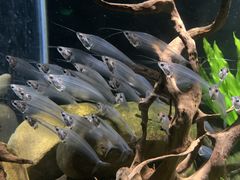 -太平洋海底世界