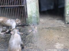 -柳州市动物园