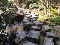 -广州白江湖森林公园