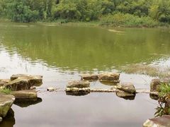 android_upload_pic-宁波九龙湖开元度假村