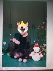 -贝克叔叔儿童摄影工作室(天时嘉园店)