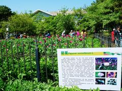 -国家植物园南园