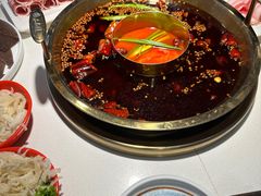 -二荆条·城市森林火锅旗舰店