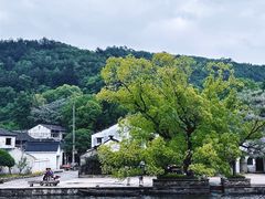 -东钱湖旅游度假区