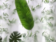 -竹子咖啡bamboo coffee