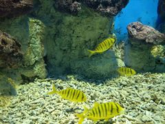 -福州罗源湾海洋世界旅游区