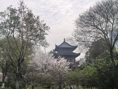 -堤角公园