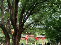 -杭州半山国家森林公园