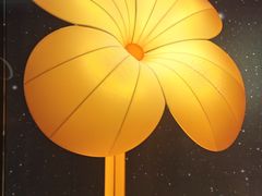 -深圳湾万象城(南山店)