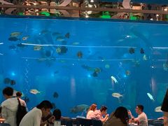 -瑞德姆美人鱼海底演艺主题餐厅(亚龙湾店)