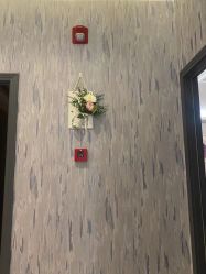 -PE SALON 