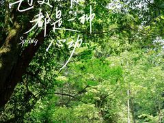 -大围山国家森林公园
