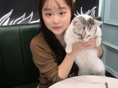 -安格丽娜·狗咖·猫咖羊驼咖(春熙路百盛商场店)