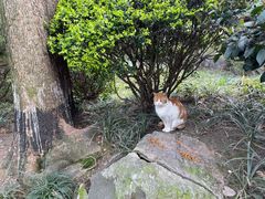 -静安公园(静安寺街道)