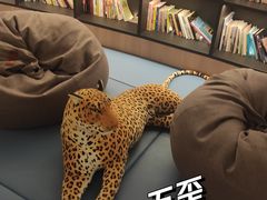 -北京海德酒店温泉