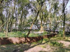 -西湖风景区-江洋畈生态公园