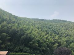 -天目湖御水温泉·度假酒店