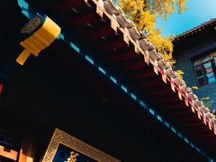 -四川大学(华西校区)