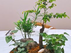 -御仙都北京菜馆·烤鸭店(双井店)