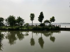 -鹅湖玫瑰文化园