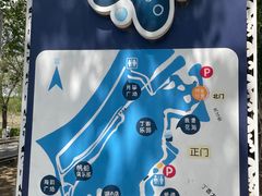 -丁香湖公园