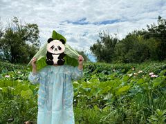 -西昌邛海宾馆