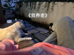 -PAUSE CAFE(南秀村店)