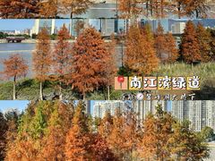 -福道