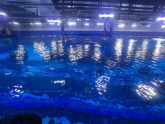 -成都浩海立方海洋公园