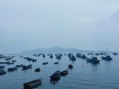 -海源公园