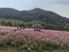 -径山花海