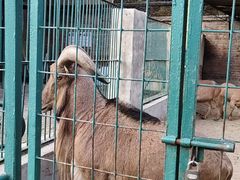 -保定市动物园