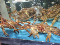 -紫阳海鲜楼·传承闽味(长乐路总店)