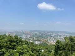 -铁山坪森林公园