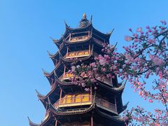 -红梅公园