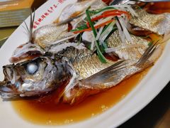 翘嘴鲌鱼-丹江渔村(望京店)