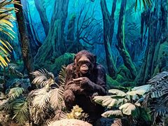 -国家自然博物馆