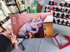 -青藏高原野生动物园