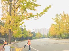 -四川大学(江安校区)