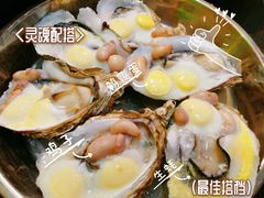 -飞尝蚝·顺德菜·鱼生(顺德总店)