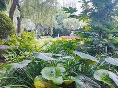 -苏州河梦清园环保主题公园