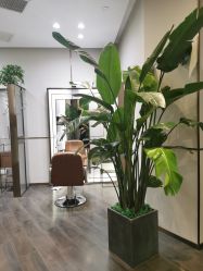 -崇尚GAVIN STYLE臻选