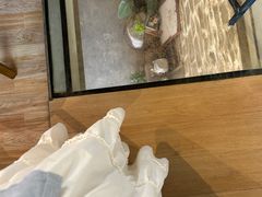 -石头会唱歌融来+北港岚台两岸交流中心